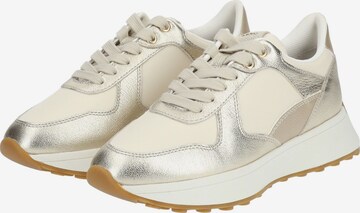 Sneaker bassa di GEOX in beige