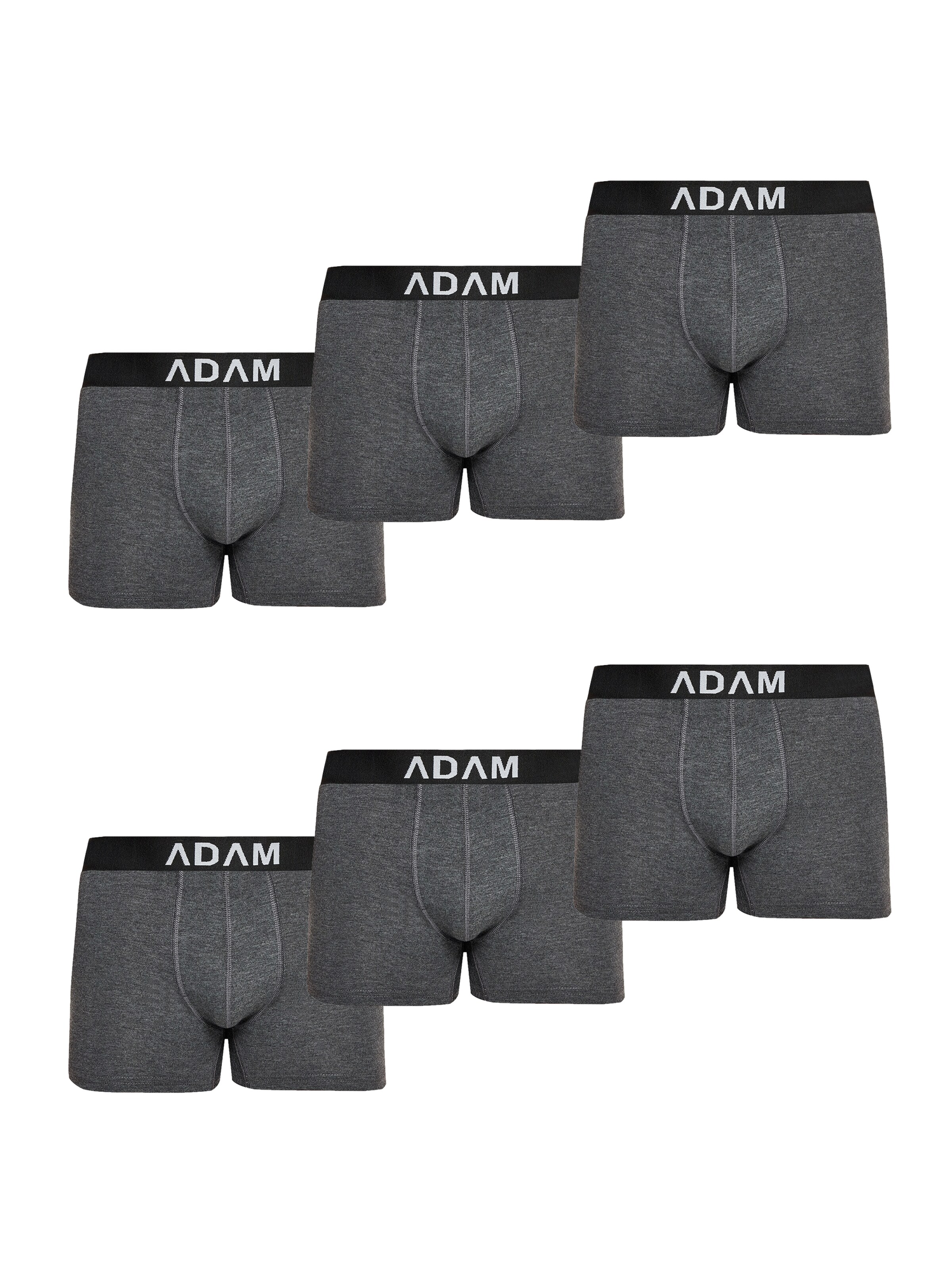 Adam Boxer shorts '6er Pack' in Grey: front