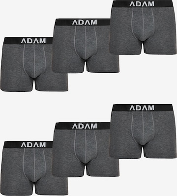 Adam Boxer shorts '6er Pack' in Grey: front