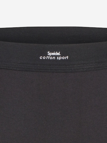 SPEIDEL Panty 'Cotton Sport' in Mixed colours