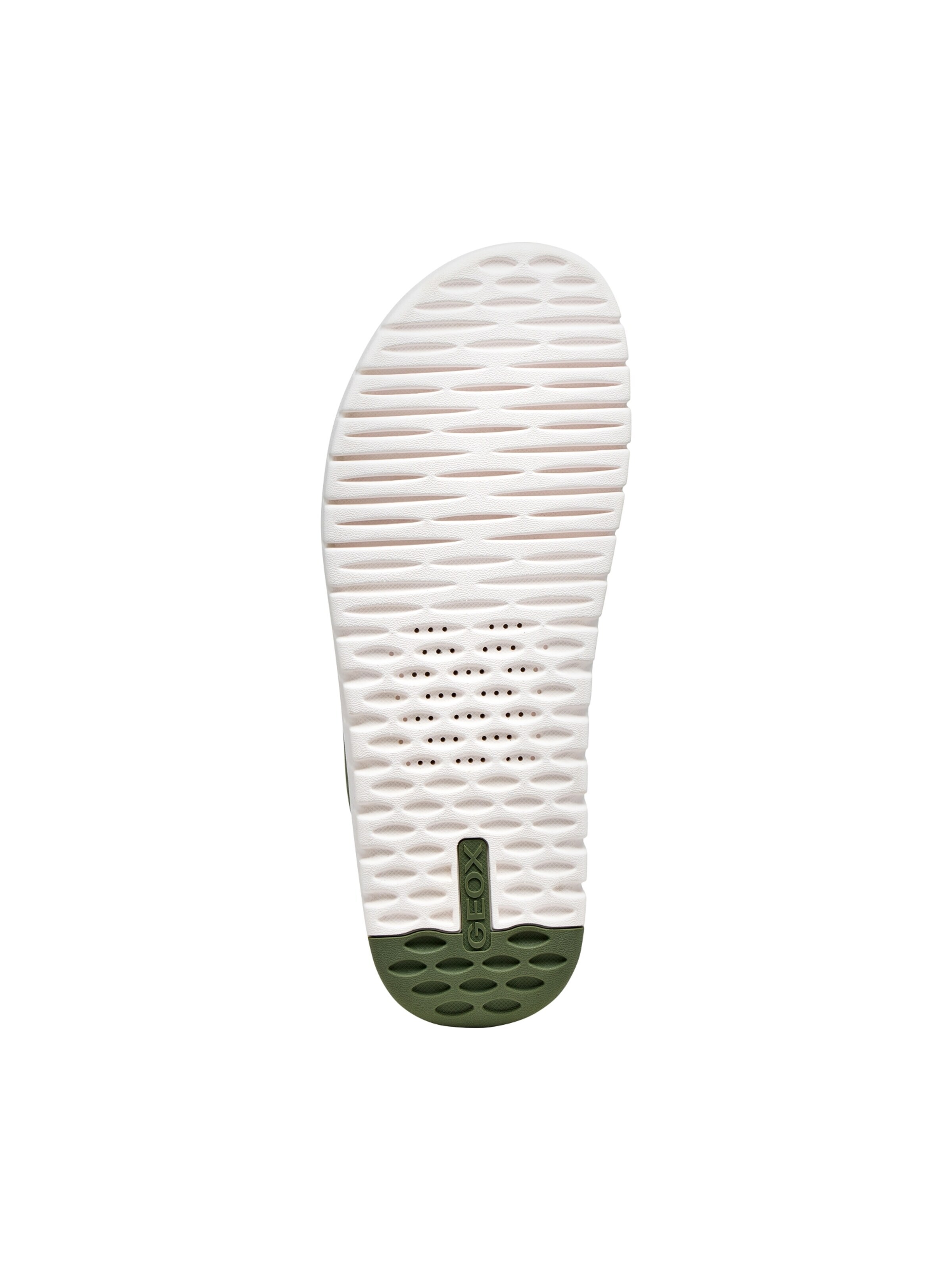 GEOX Mule in Green