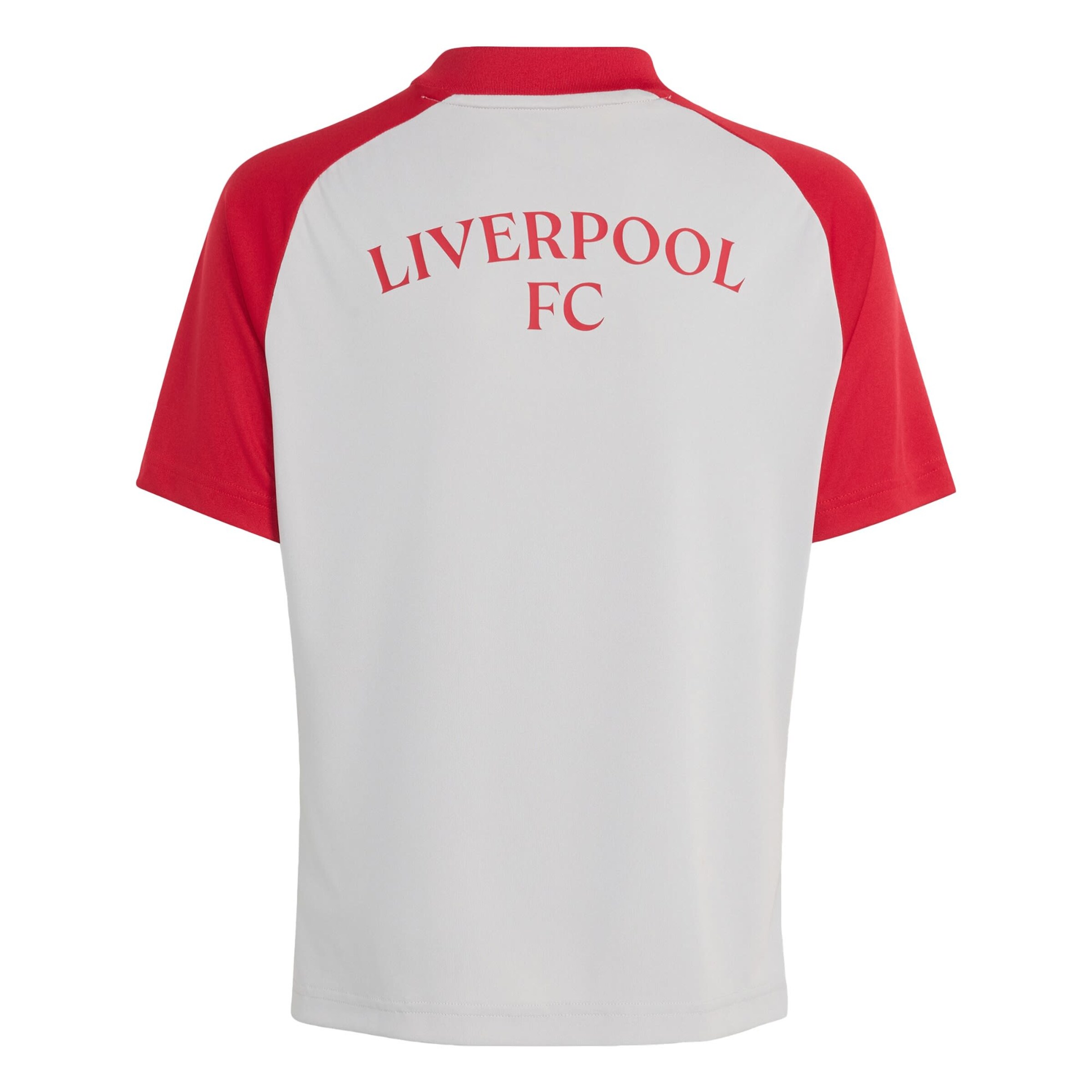 ADIDAS PERFORMANCETehnička sportska majica 'FC Liverpool 26/27' - siva boja