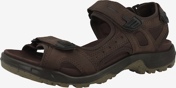 ECCO - Sandálias de trekking 'Offroad' em castanho: frente
