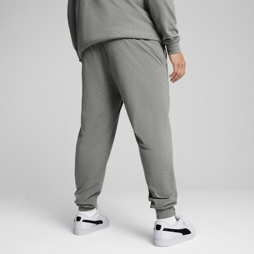 PUMA Regular Broek 'Essentials No. 1' in Grijs