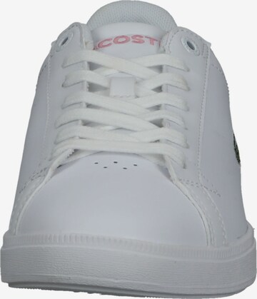 LACOSTE Sneaker 'Graduate Pro' in Weiß