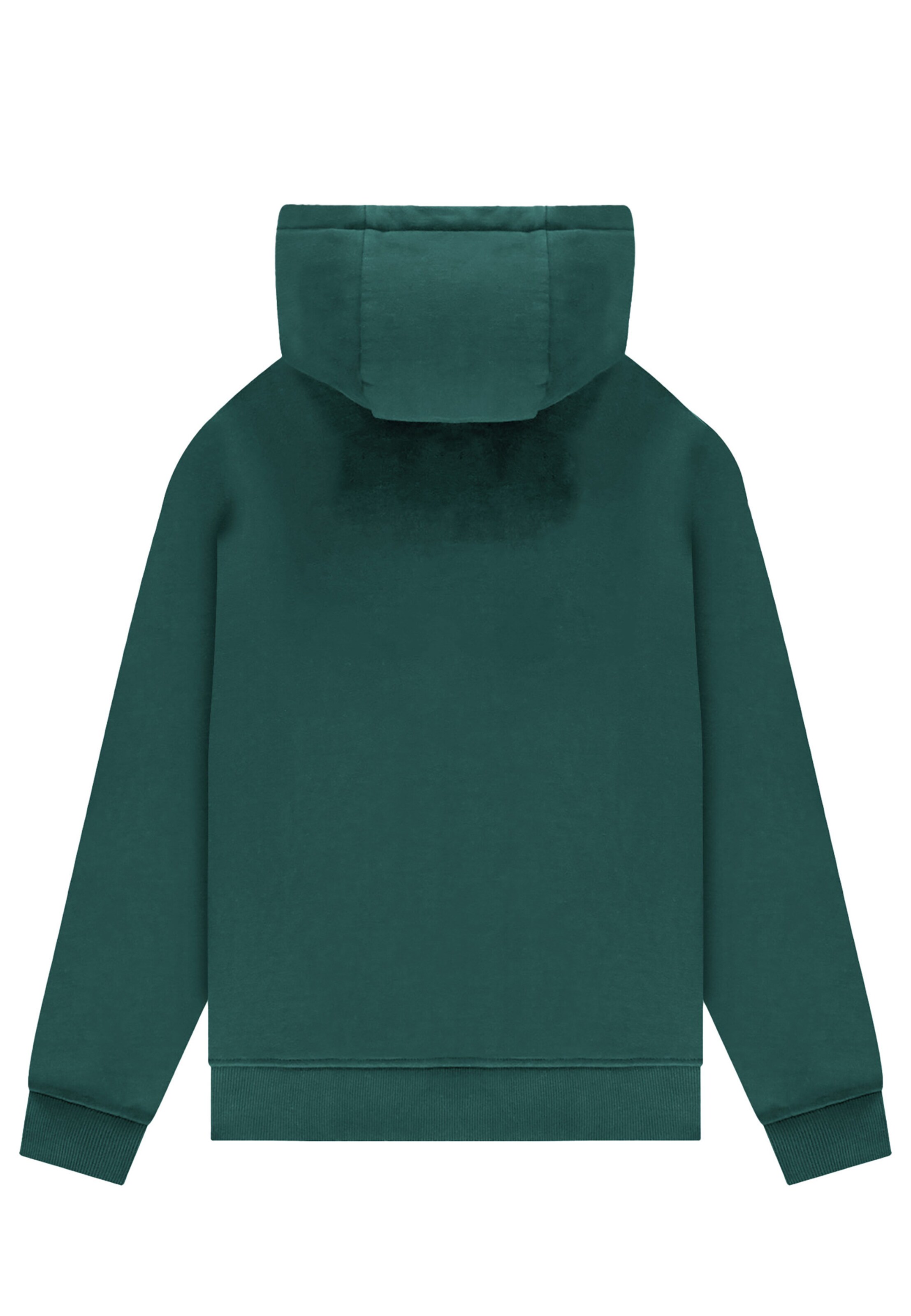 Pockies Sweatshirt 'Um' in Green