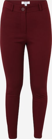 Dorothy Perkins Petite Skinny Leggings in Red: front