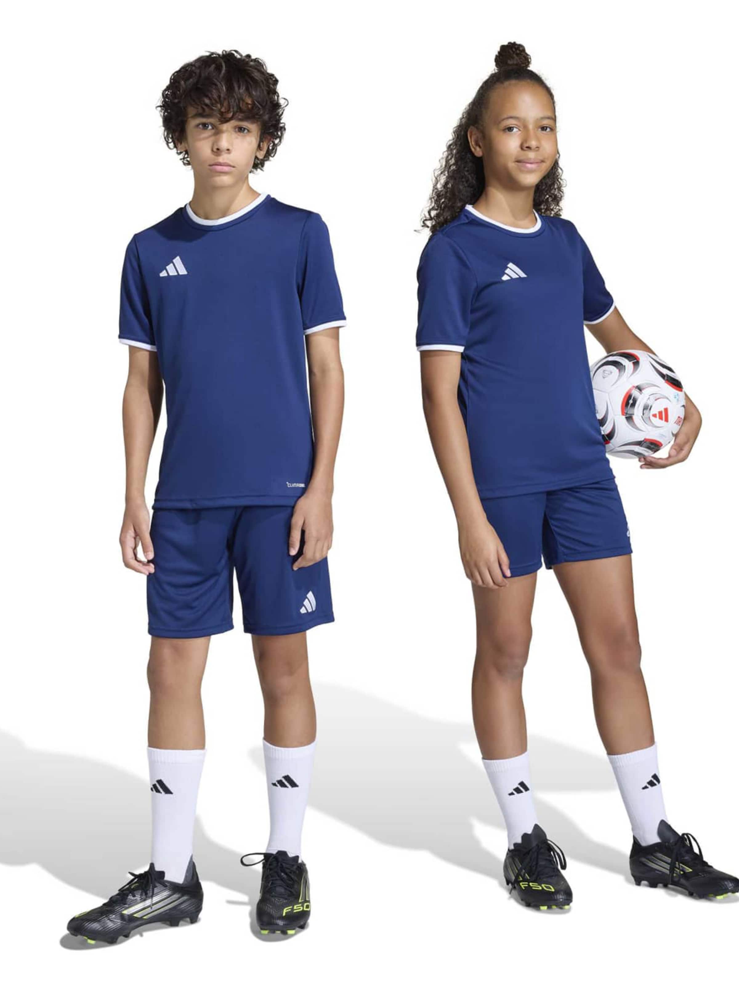 ADIDAS PERFORMANCE Regularen Športne hlače 'ENT26' | modra barva