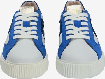 Baskets basses 'OTIS' Crickit en bleu