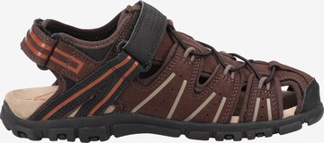 GEOX Hiking Sandals 'U S.Strada A' in Brown