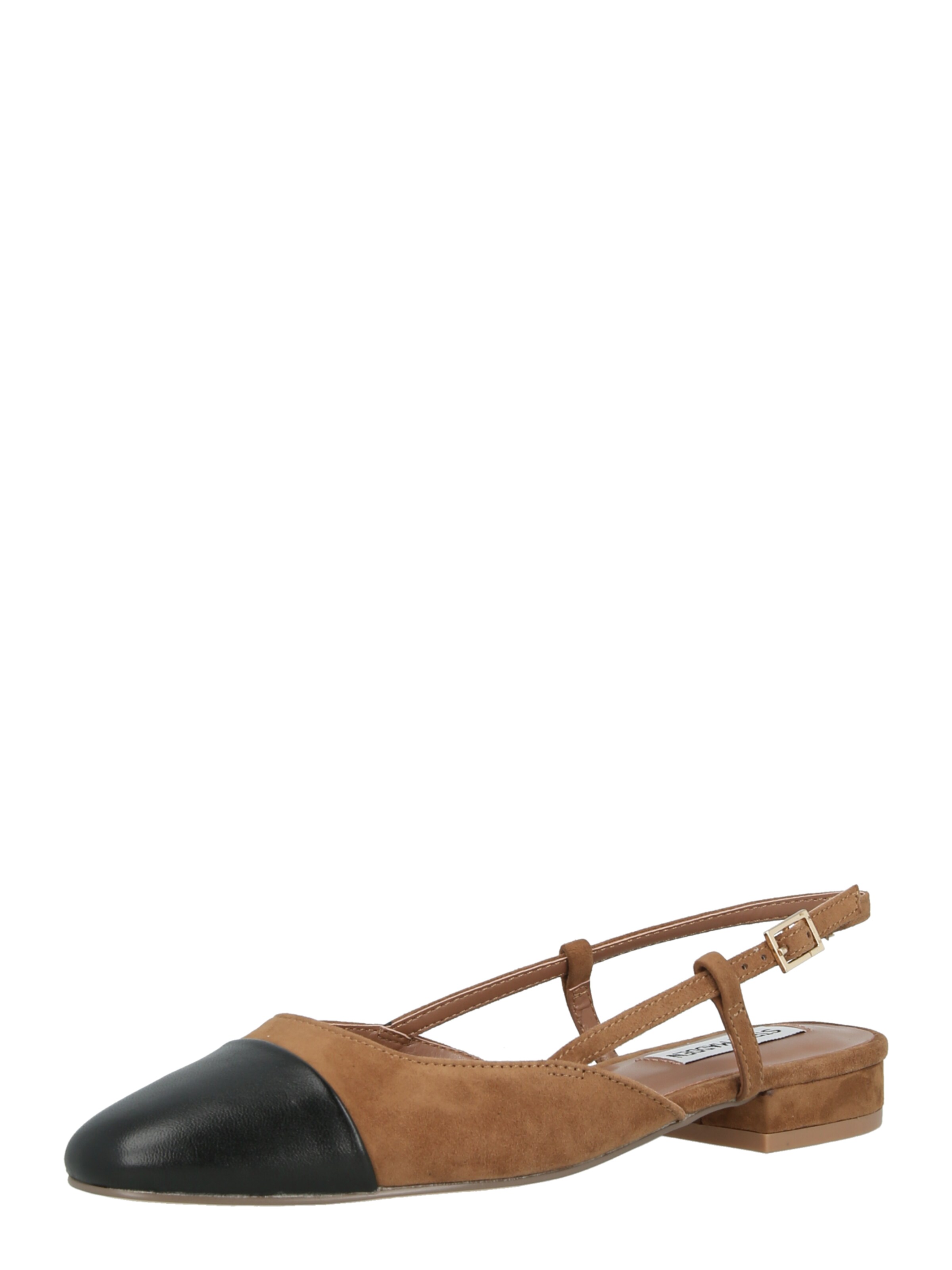 STEVE MADDEN Ballerinasko 'BELINDA' i brun: forside