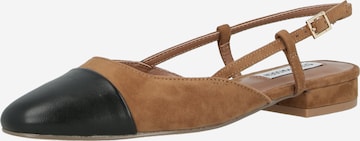 STEVE MADDEN Ballerinasko 'BELINDA' i brun: forside