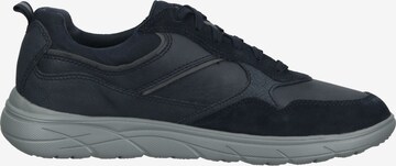 GEOX Sneaker in Blau