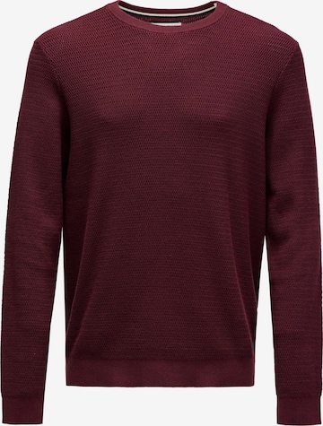 Pull-over Salsa Jeans en rouge : devant