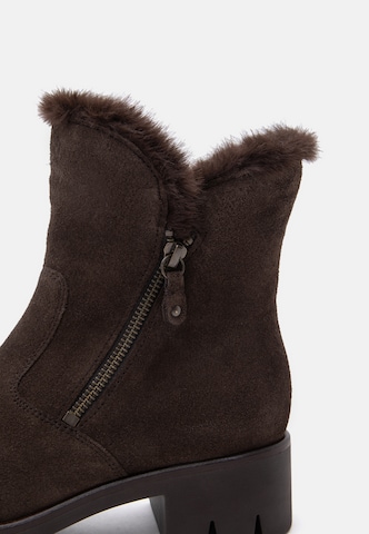 Bottines GABOR en marron