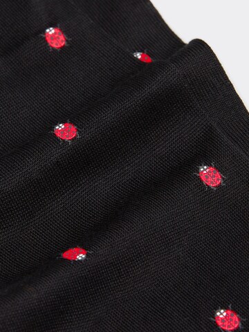 INTIMISSIMI Socks in Black