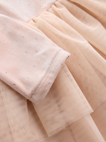 Next Dress in Pink