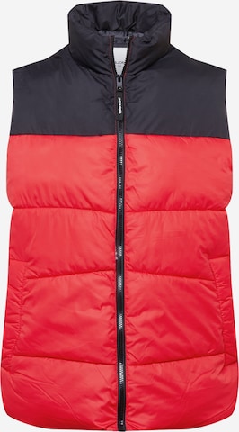 JACK & JONES Bodywarmer 'CHILI' in Rood: voorkant