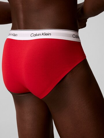 Calvin Klein Underwear Slip in Gemengde kleuren
