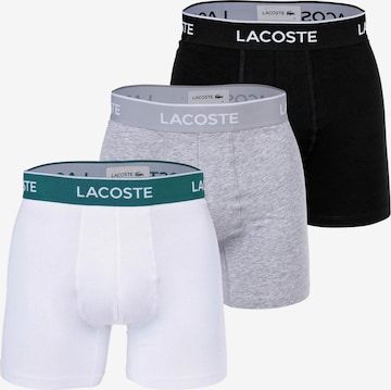 LACOSTE - Calzoncillo boxer en gris: frente