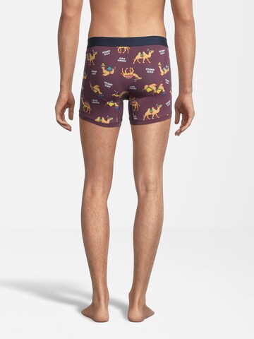 AÉROPOSTALE Boxershorts in Bruin