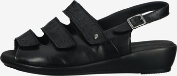 Arcopedico Strap Sandals in Black