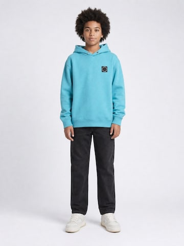 Petrol Industries Sweatshirt in Blau
