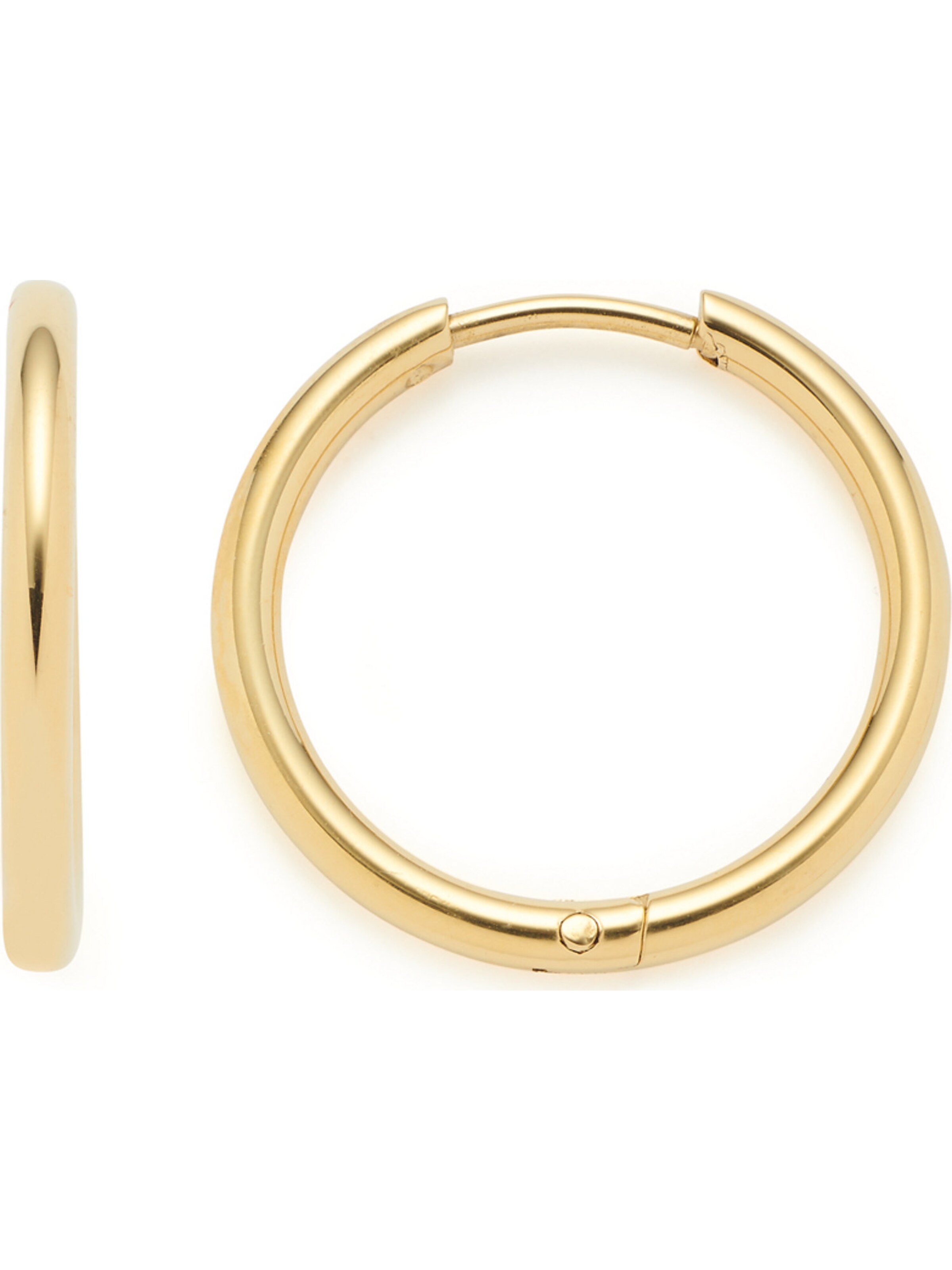 LEONARDO Earrings in Gold: front