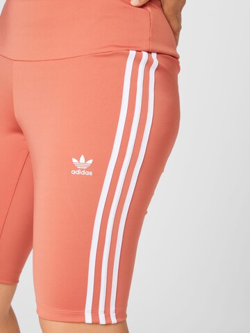 ADIDAS ORIGINALS Skinny Shorts 'Adicolor Classics High-Waisted Primeblue ' in Orange