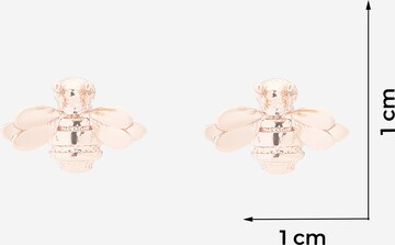 Boucles d'oreilles 'BEELII' Ted Baker en or