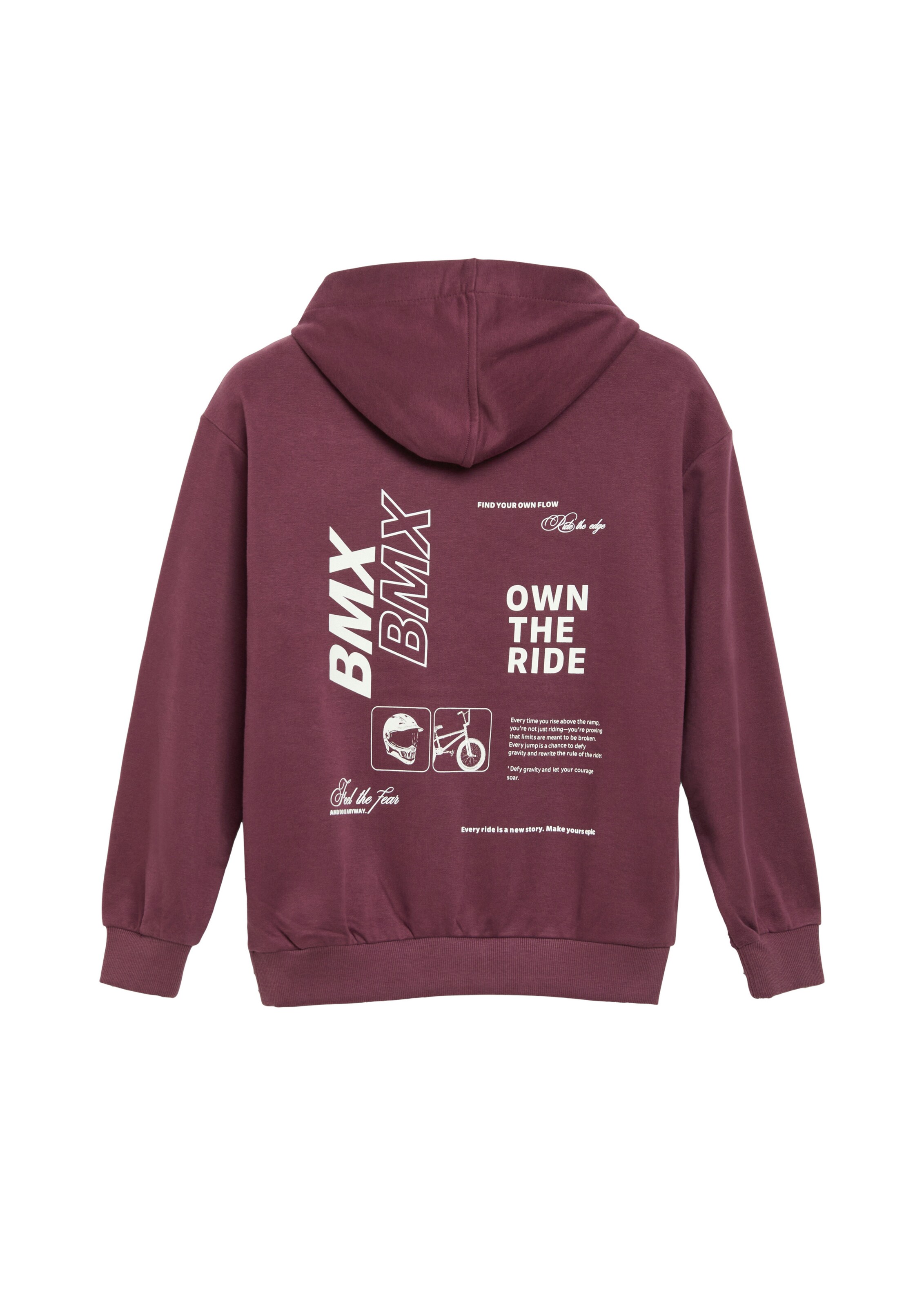 s.Oliver Sweatshirt in Red