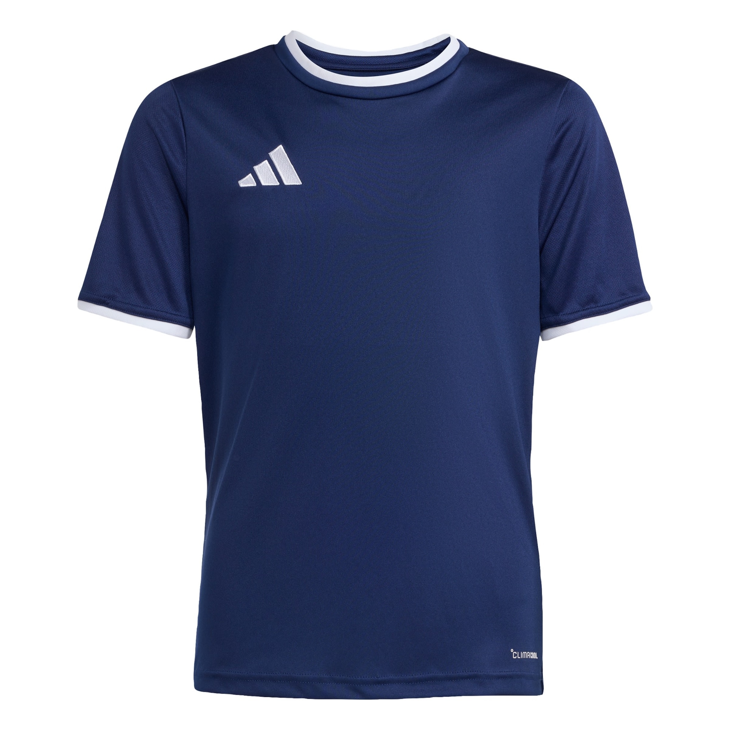 ADIDAS PERFORMANCE Trikot 'Entrada26' in Blau: Vorderseite