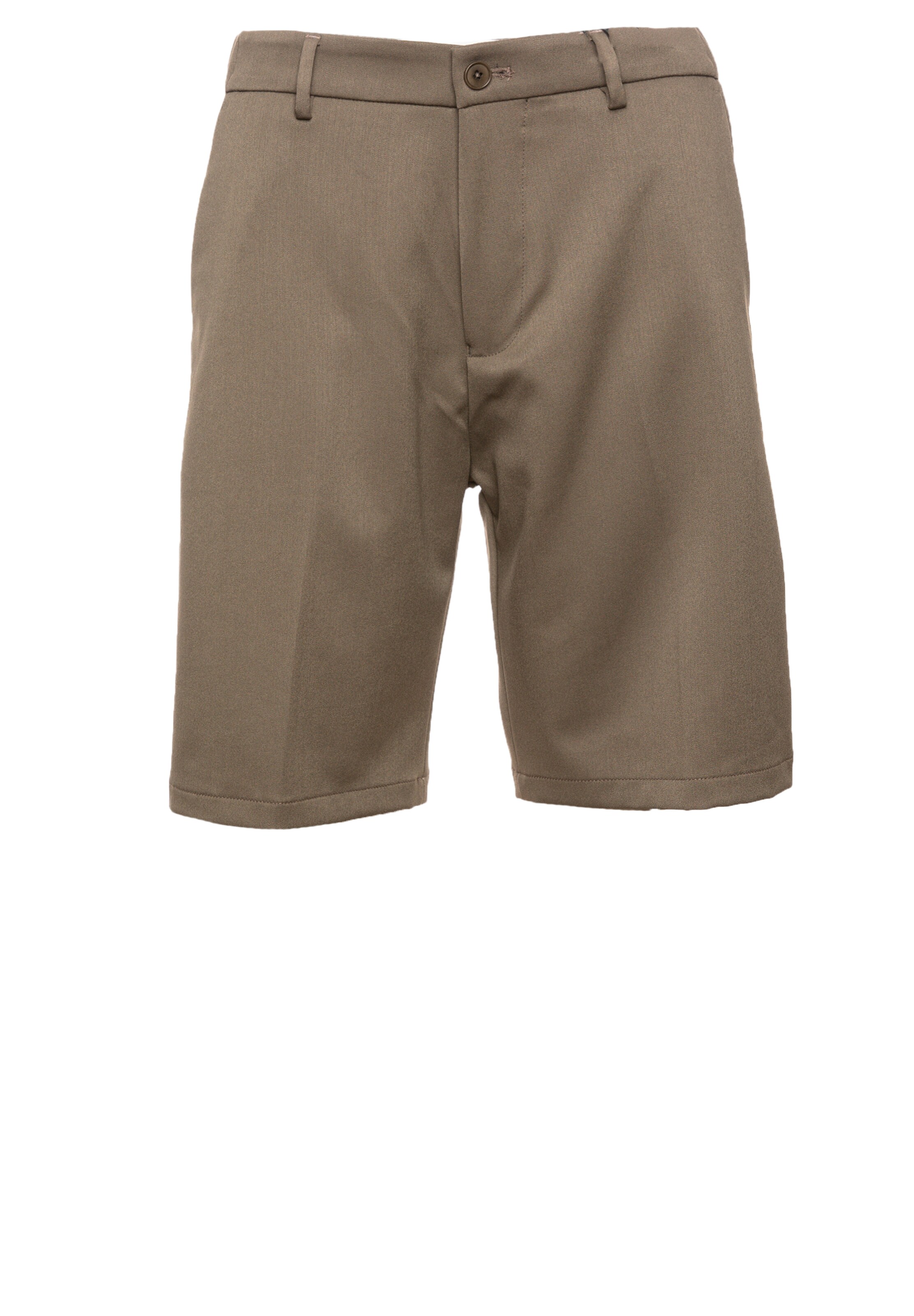 DRYKORN Regular Chino Pants 'Yasan' in Brown: front