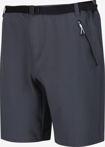 REGATTA Regular Outdoor Pants 'Xert III' in Grey