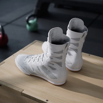 Chaussure de sport 'Box Hog 4' ADIDAS PERFORMANCE en blanc