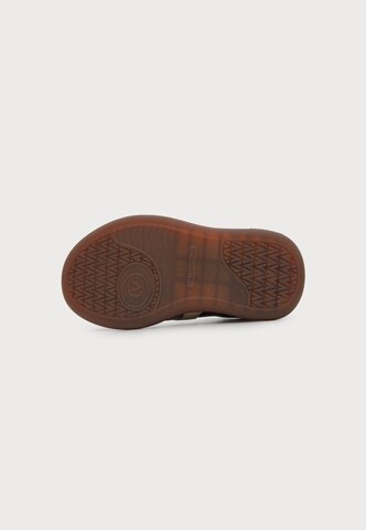 Valentino Shoes Σνίκερ χαμηλό 'RADIUS' σε καφέ: κάτω