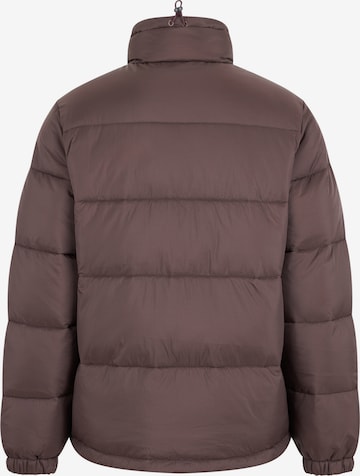 Veste d’hiver 'WALDENBURG' DICKIES en marron