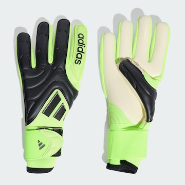 Gants de sport 'Copa Pro' ADIDAS PERFORMANCE en noir : devant