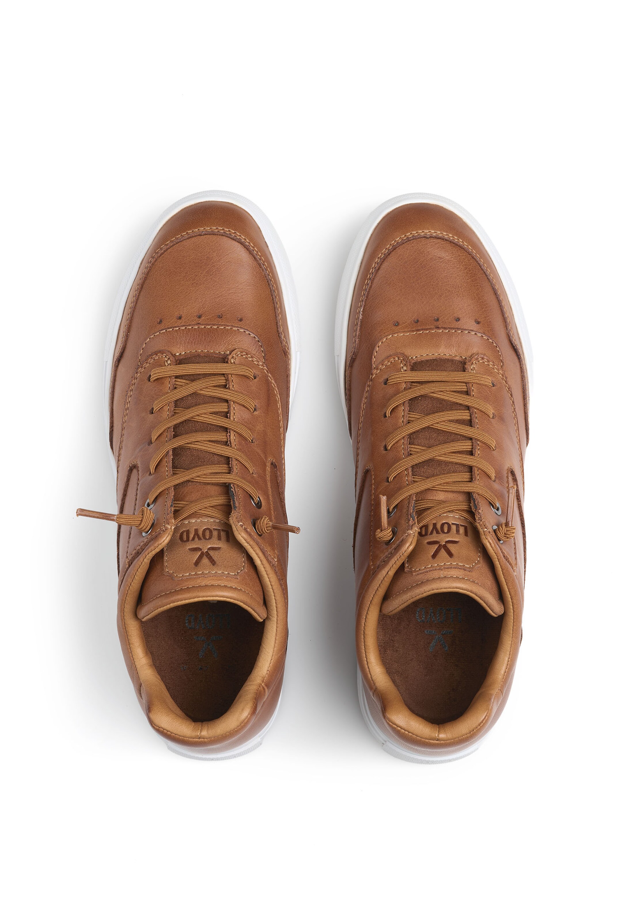 Baskets hautes 'ARENA' LLOYD en marron