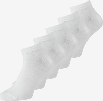 JACK & JONES Κάλτσες σε λευκό