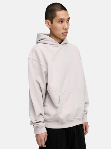 Daily Cotton Sweatshirt 'DCAUSTIN'‌‌‌‌‌‌‌‌‌‌ in Grau