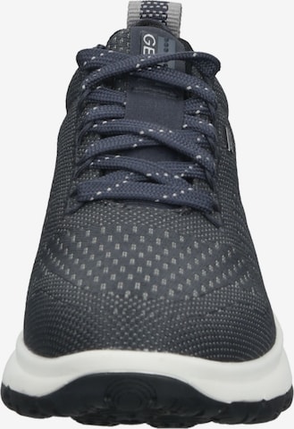 GEOX Sneakers in Grey