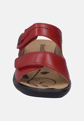 Westland Pantolette in Rot