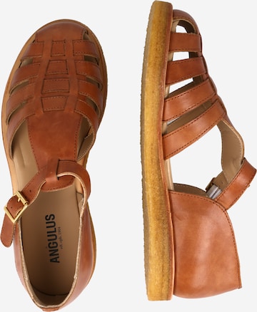 Sandalo di ANGULUS in marrone
