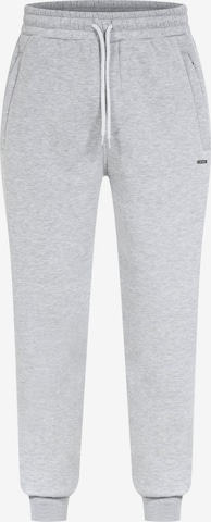 Smilodox Tapered Hose 'Walker' in Grau: Vorderseite