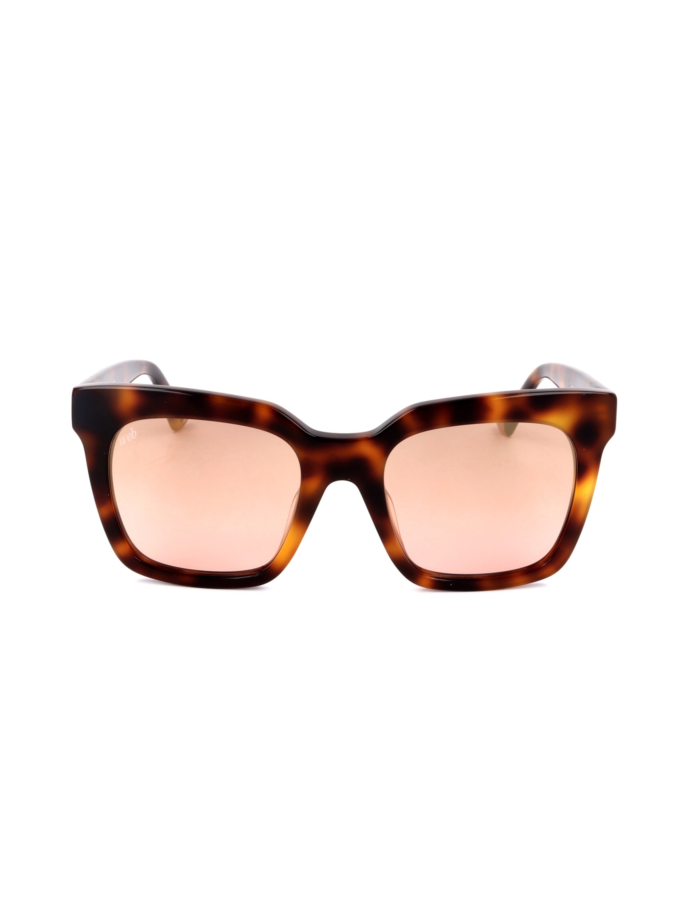 Occhiali da sole 'WE0222' di Web Eyewear in marrone: frontale
