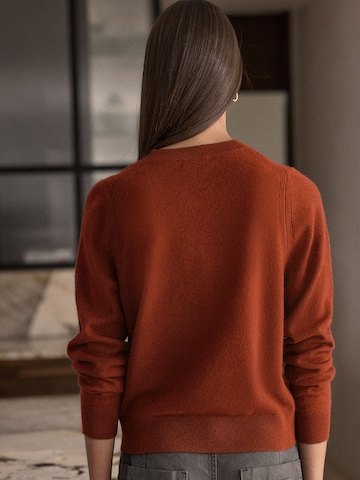 Next Pullover 'N. Premium' i brun