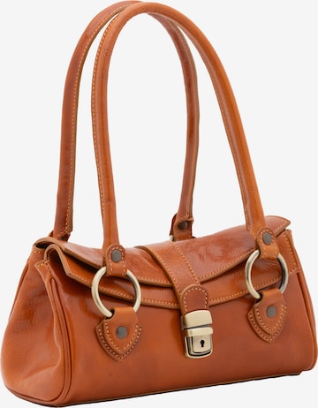Viola Castellani Handbag in Brown: front