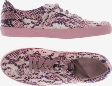 Liebeskind Berlin Sneakers & Trainers in 39 in Pink: front