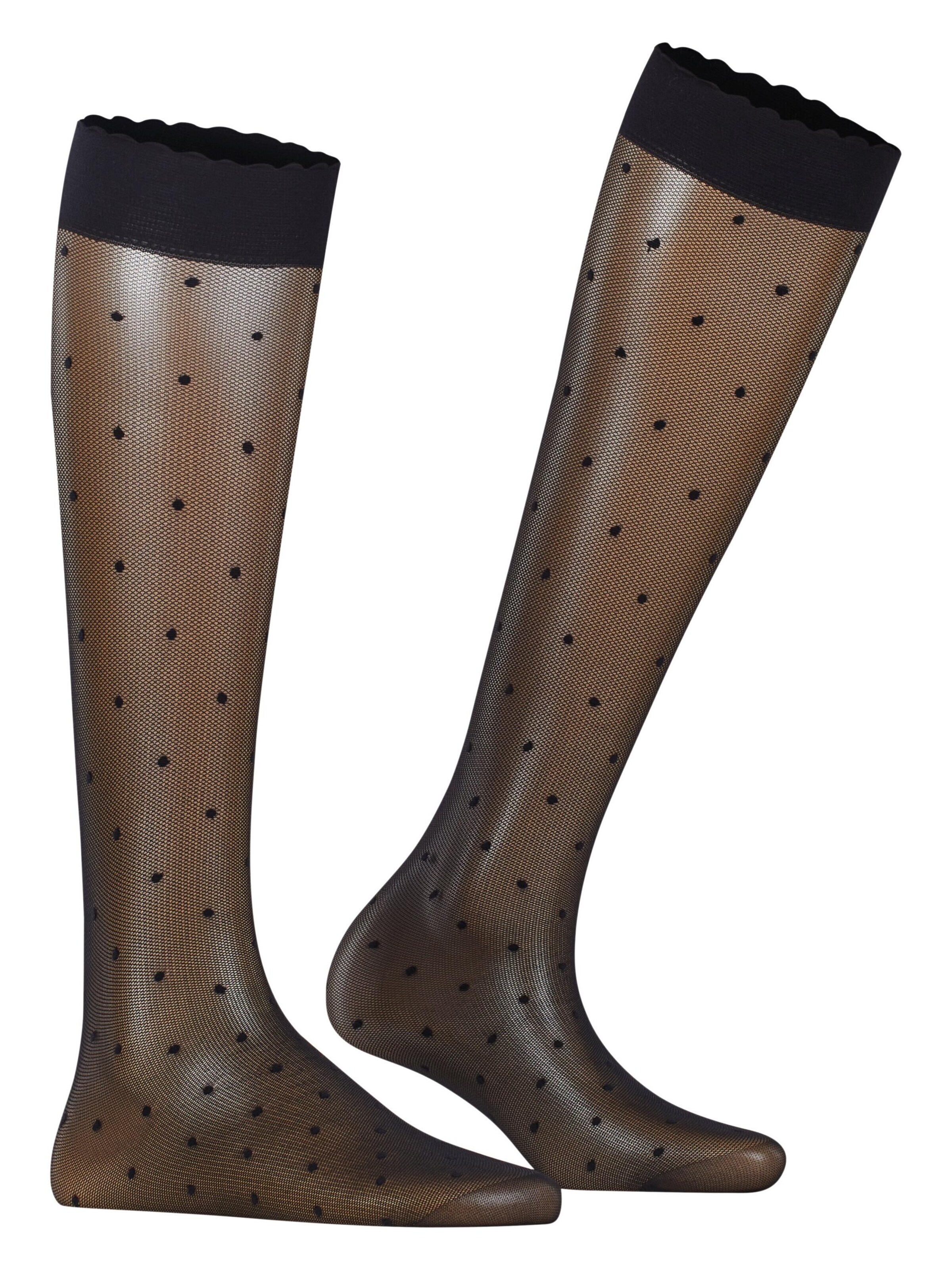 FALKE Over the Knee Socks 'Dot' in Black: front